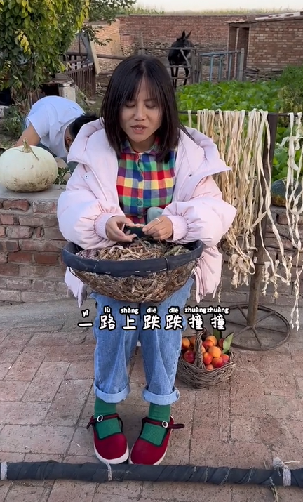 村花老赵婆子（323）