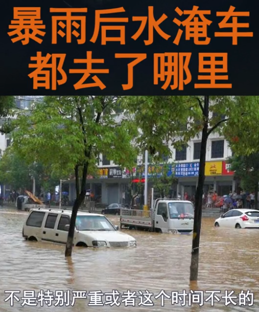 阿喵汽车图2