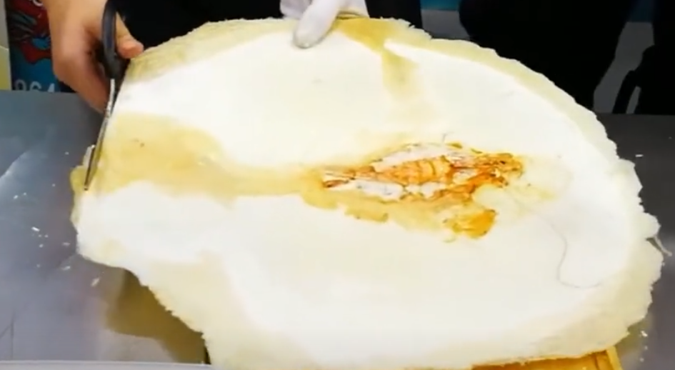 开箱晏图2