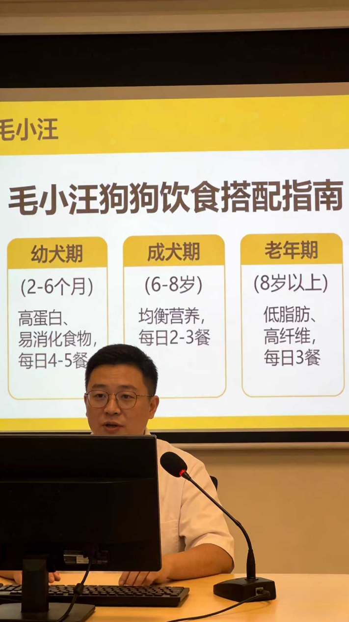 红人圈动态 | 专业的猫零食供应商