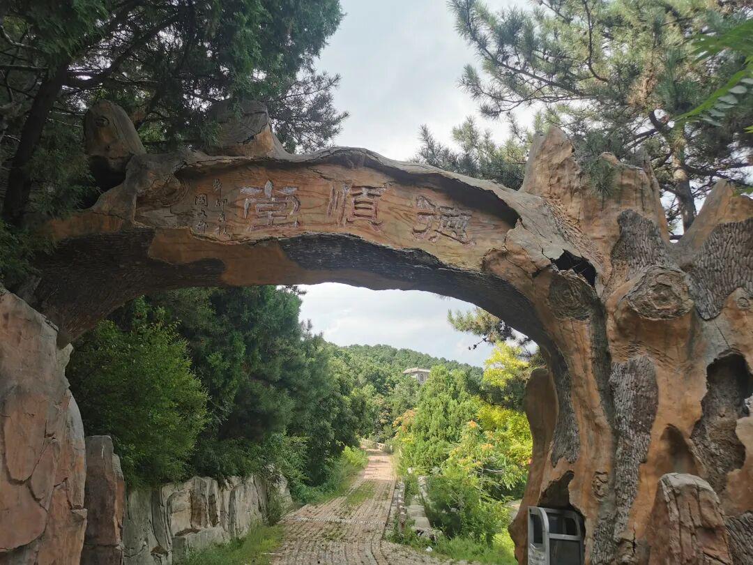 红人圈动态 | 网评|“零食占座”事件:理解家长心情,多些理解和包容,让孩子们旅途愉快