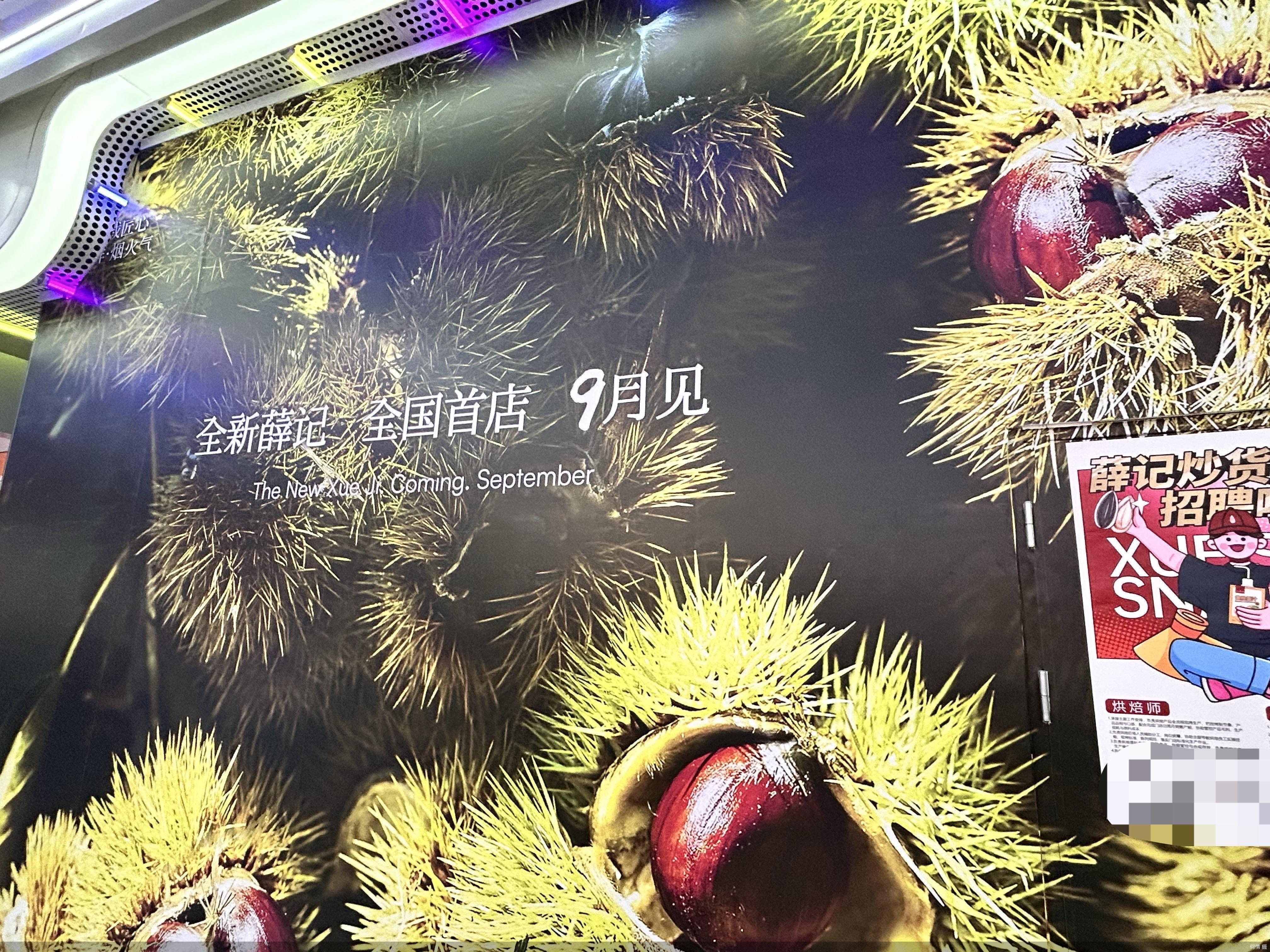 红人圈动态 | 拆解零食新物种|薛记炒货将上线短保烘焙品 新鲜零食逼急奶茶炒货店