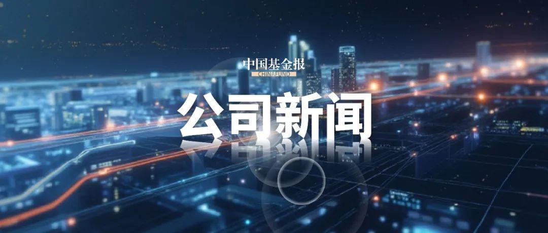 红人圈动态 | 上半年,量贩零食龙头还在高增长