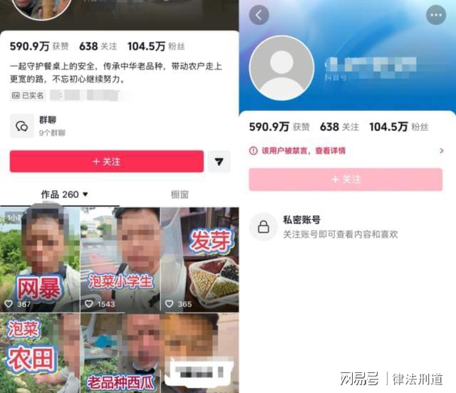 红人圈动态 | 农业网红诋毁杂交水稻,别让无知消费来之不易的温饱