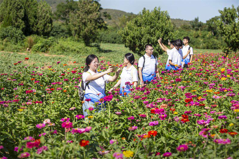 红人圈动态 | “卖煤村”变身网红旅游村