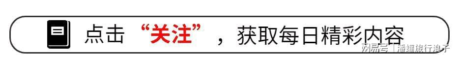 红人圈动态 | 继西贝之后,又一网红品牌被罗永浩遭吐槽,结果没翻车还涨粉数万